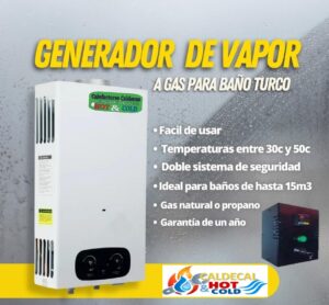Generador de vapor mural 90 btu