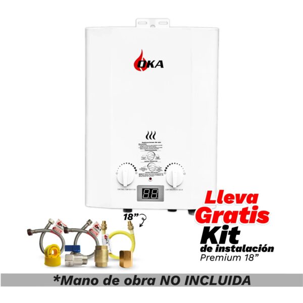 Calentadores paso a gas